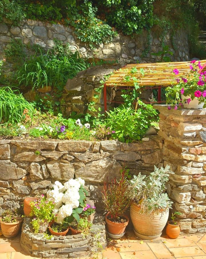 Maison Do Mi Sol Reynès Exteriér fotografie